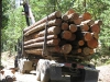 16-load-of-logs