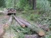 01-pickup-logging
