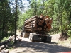17-loaded-log-truck