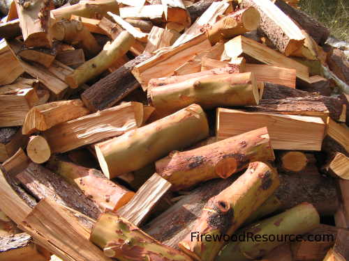 Southern Oregon Green Madrone Firewood