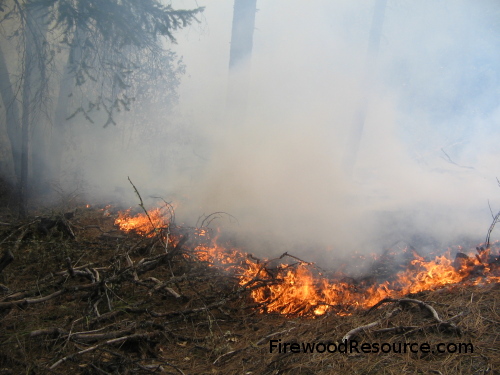 Controlled or Prescribed Burn