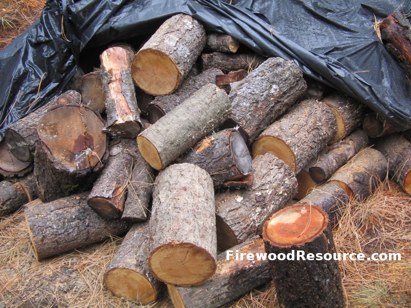 Douglas Fir Firewood - How Does Douglas Fir Firewood Burn?