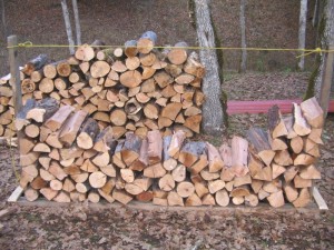 Stacking Wood in the Firewood Rack