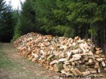 Why Smart Consumers Buy Firewood in the Spring