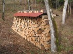 Cover Firewood With Metal Roofing