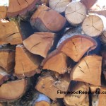 Tanoak Firewood