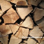 Myrtle Firewood (pepperwood)