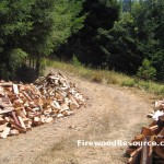 Piles of Firewood
