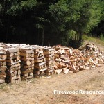 Firewood Photo