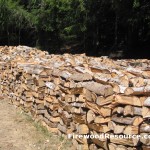Rows of Firewood