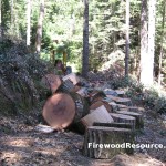 Large Firewood Rounds