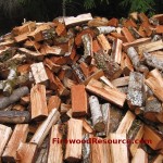 Large Wood Pile